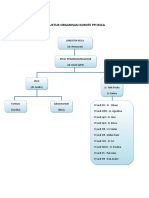 STRUKTUR ORGANISASI KOMITE PPI RSCA by Dr. Andro