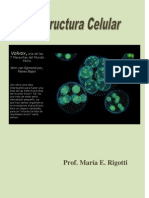 Estructura Celular .PDF o Wikilibro