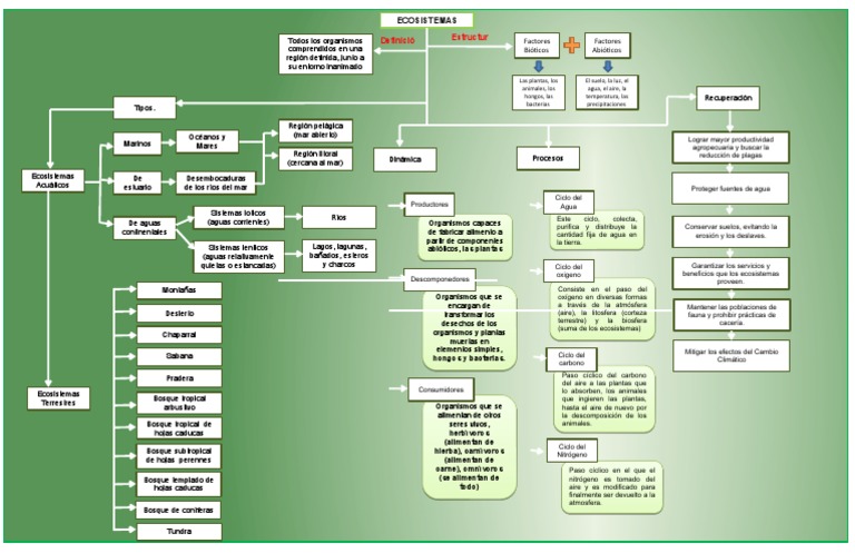Act. 4. - Mapa Conceptual Ecosistemas | PDF | Ecosistema | Mar