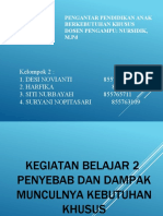 KLP 2-Ppt-Pertemuan 1-Penyebab Dan Dampak ABK