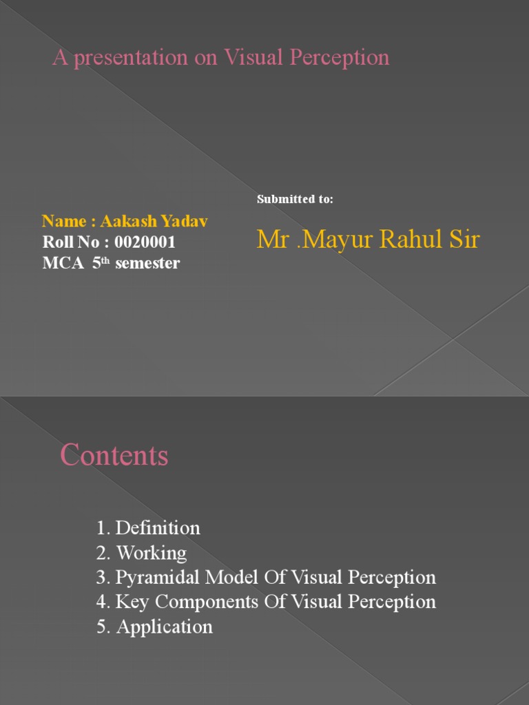 Understanding Visual Perception Basics | PDF | Visual System | Visual ...