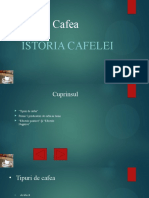 Atestat_Office