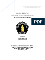 Nurul Hidayah 190130100011009 Laporan Akhir Individu Patologi Anatomi Gelombang 7 Kelompok 2