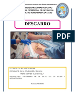 Desgarro Perineal