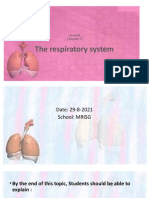 The Respiratory System Week 1