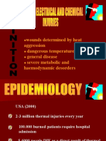 Wounds Determined by Heat Aggression Dangerous Temperature 46ºC General Disease Severe Metabolic and Haemodynamic Desorders