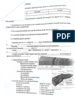 biologie test de evaluare tesuturi animale si vegeetale clasa a a x-a