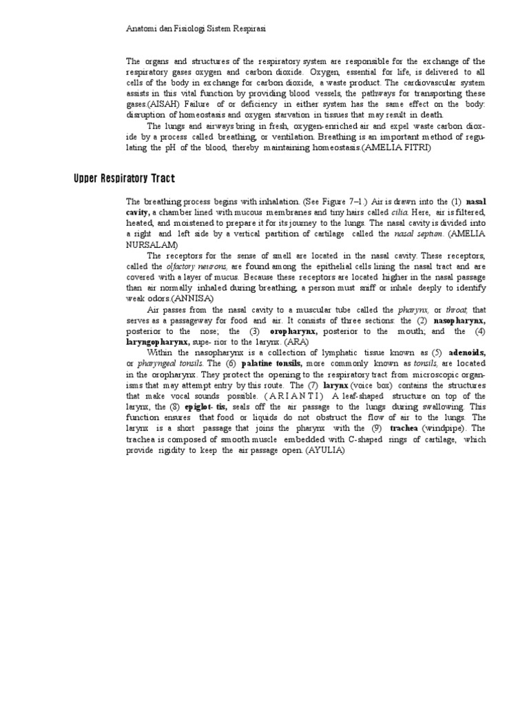 1 Anatomi Dan Fisiologi Sistem Respirasi | PDF | Lung | Respiratory Tract