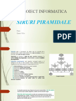 Proiect Informatica - Siruri Piramidale