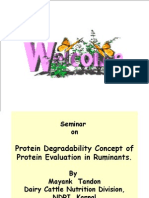 RDP-UDP Protein Seminar