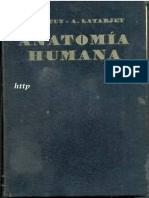 Anatomia Humana T4