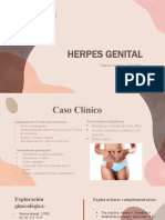 herpes genital externado 