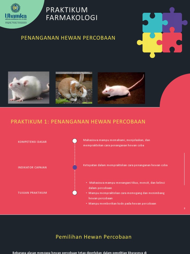Praktikum 1 Animal Handling PDF