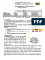 Guía-8a - Biologia Séptimo