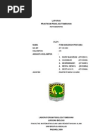 Download fotosintesis pdf by Sepha Ronaldo SN53321121 doc pdf