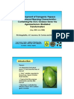 Development of Transgenic Papaya With Delayed Ripening Characteristics Containing The ACC Oxidase Gene Via Agrobacterium-Mediated Transformation