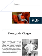 Doença de Chagas Trabalho 2