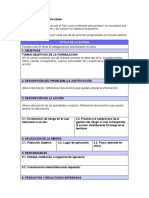 Formato Formulacion de Acciones