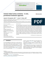 Central Retinal Artery Occlusionda New, Provisional Treatment Approach