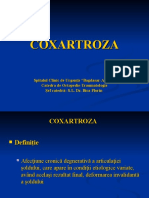 Cox Art Roza