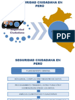 Seguridad ciudadana