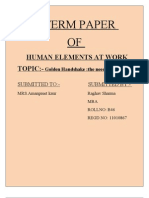 TERM PAPER of Human Elements at Work