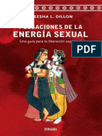 Pulsaciones de la energía sexual - Aneesha L. Dishon