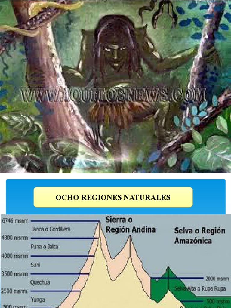 Region Rupa Rupa-Omagua | PDF