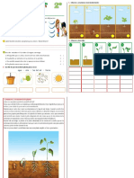 La Germinacion