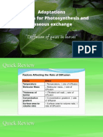 Diffusion in Plants - Revised