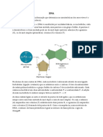 Formação Do ADN - Psicologia