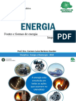 Carmen_Fontes_e_Formas_de_Energia_53710b1796170