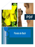 55 - Acupuntura e Florais de Bach (1)