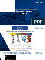 Biología Celular-Identificación de Biomoléculas en Alimentos-3-16