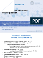 Tulb. Metabolism