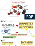Presentación Sesión 04 - COMPUESTOS FENOLICOS PIGMENTOS