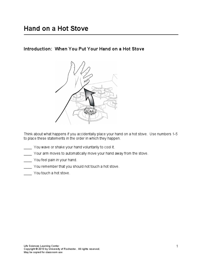 Introduction When You Put Your Hand On A Hot Stove PDF Neuron