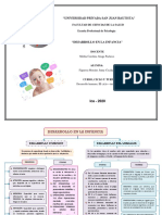 Desarrollo Cognitivo y Del Lenguaje