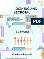 Patología Inguino Escrotal