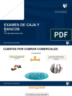 Examen de Caja Y Bancos: C.P.C Emilio Wilmer Barreto Niño