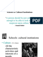 Schools As Cultural Institution