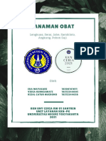 Infografis Seri Tanaman Obat