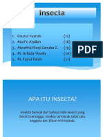 PDF Powerpoint Insecta