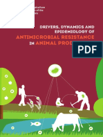 Antimicrobial Resistance Animal Production: Drivers, Dynamics and Epidemiology of IN