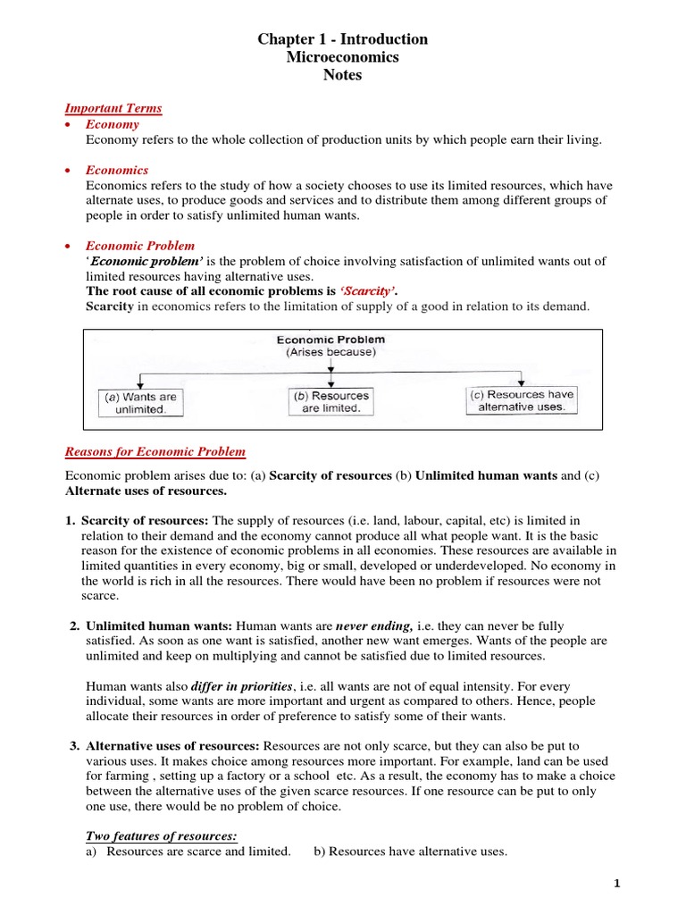 Chapter 1 - Introduction Microeconomics Notes: - Economy - Economics ...