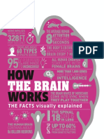 How The Brain Works The Facts Visually Explained-1-50