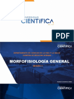 Morfofisiologia General - Fisiología Clase 1 - Tejido Sanguineo y Composicion de La Sangre 2021 II