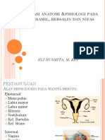 Anfis Masa Hamil, Bersalin Dan Nifas