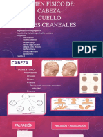 Cabeza-Cuello-Pares Semiologia