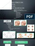 Examen físico cabeza y ojos